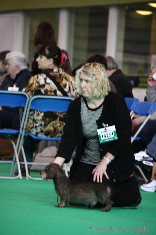 Crufts2011_2 797.jpg